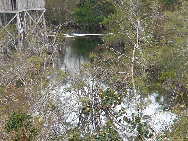 dsc00622.jpg